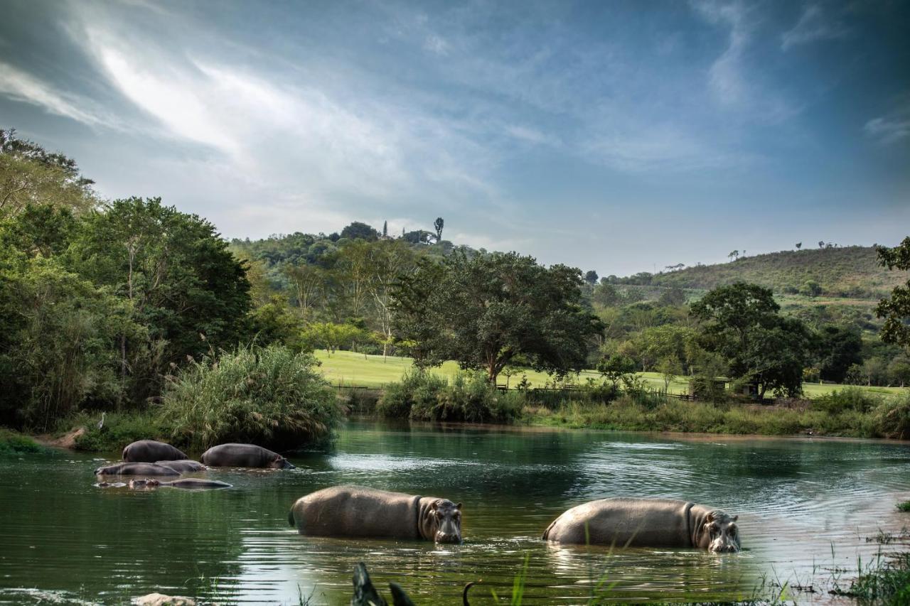 האזיביו Sabi River Sun Resort מראה חיצוני תמונה