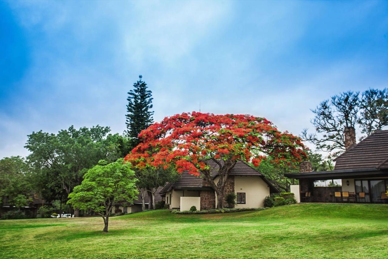 האזיביו Sabi River Sun Resort מראה חיצוני תמונה