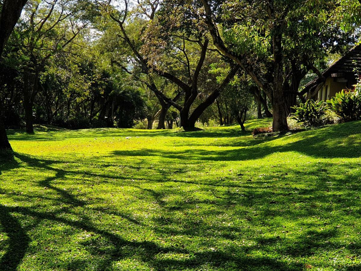 האזיביו Sabi River Sun Resort מראה חיצוני תמונה
