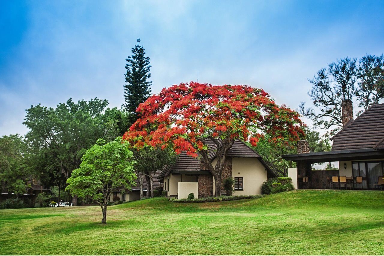 האזיביו Sabi River Sun Resort מראה חיצוני תמונה